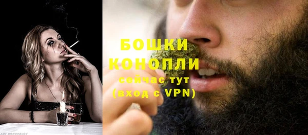 ешки Пересвет