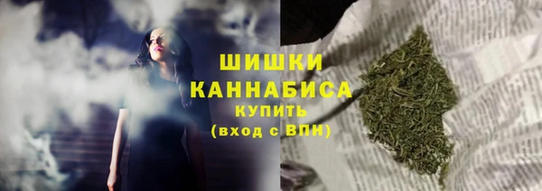 ешки Пересвет