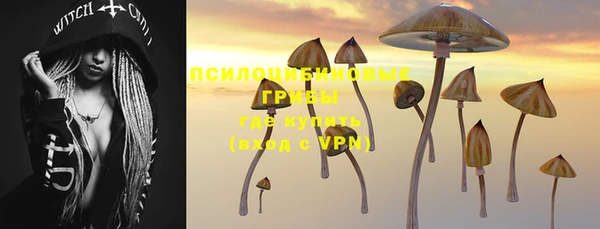 кокс Цивильск