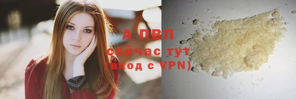 спиды Осташков