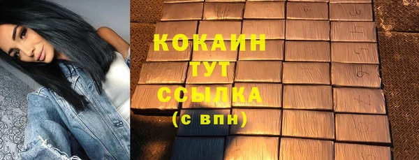 гидра Хотьково