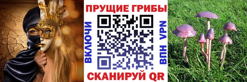 цены наркотик  Россошь  Галлюциногенные грибы мицелий 