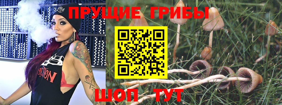 Псилоцибиновые грибы прущие грибы  Россошь  Галлюциногенные грибы мухоморы 