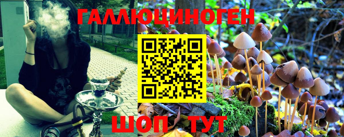 Россошь  Псилоцибиновые грибы Psilocybine cubensis  Вход с VPN 