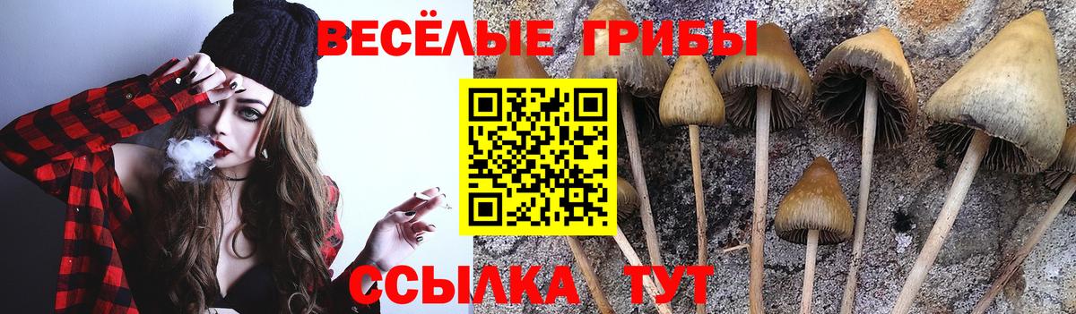 Псилоцибиновые грибы ЛСД Россошь