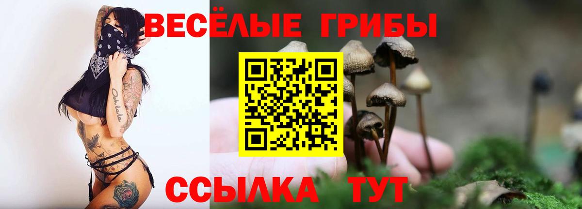 Псилоцибиновые грибы ЛСД Россошь