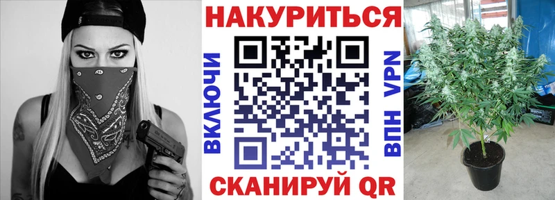 Шишки марихуана Ganja  где купить наркотик  мега маркетплейс  Россошь 